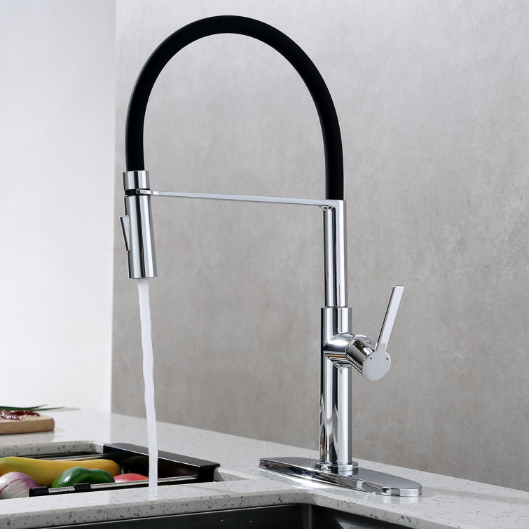 Clovis Goods Pull Down Kitchen Faucet & Reviews Wayfair Canada